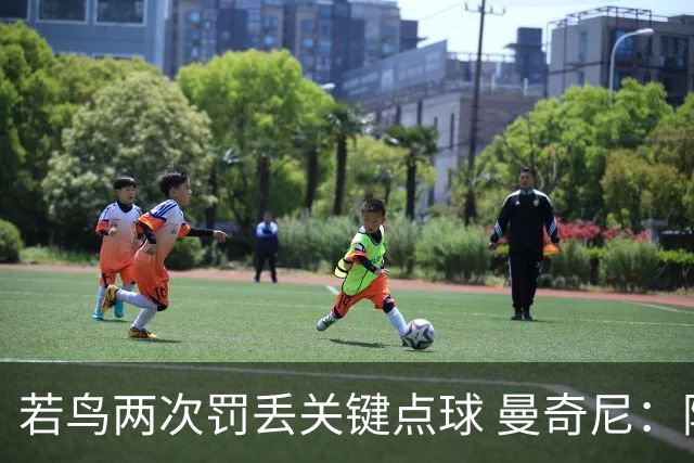 若鸟两次罚丢关键点球 曼奇尼：附加赛还是他主罚