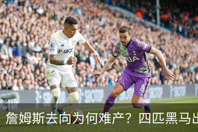 詹姆斯去向为何难产？四匹黑马出现加剧混乱