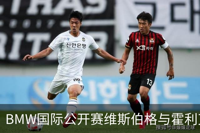 BMW国际公开赛维斯伯格与霍利克领先 吴阿顺T12